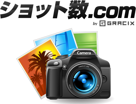 シャッター回数オーバー、動作未確認。★実用品★CANON キヤノン EOS-1D X ボディ EOS1DX